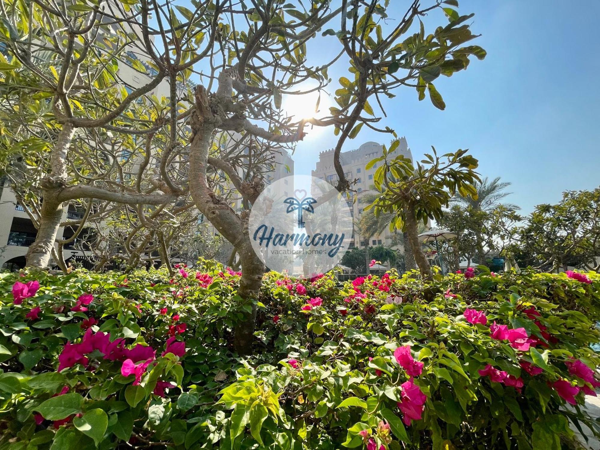 Harmony Vacation Homes - South Residence ドバイ エクステリア 写真